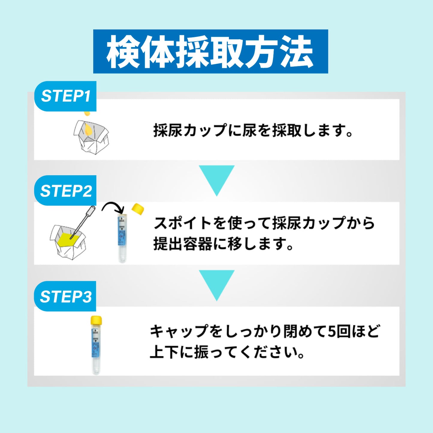 性病検査キット 9項目 HIV 梅毒 B型肝炎 C型肝炎 クラミジア 淋病 カンジダ トリコモナス マイコプラズマ 男女共通 血液検査 尿検査 TCPLABO