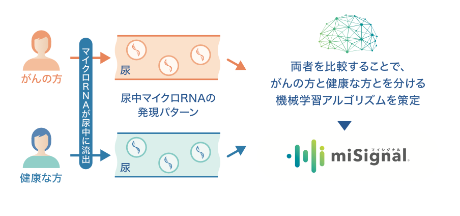 マイシグナル・スキャン misignal scan (尿がん検査 / 7種のがんリスク) マイクロRNAから小さながんのリスクも早期発見 (肺がん 大腸がん 乳がん 卵巣がん) がん検査 がんリスク