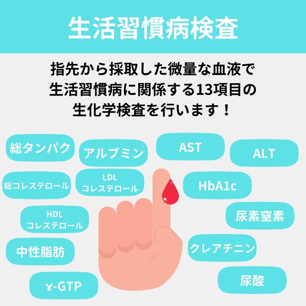 生活習慣病リスク13項目検査 糖尿病 痛風 肝機能 腎機能 コレステロール