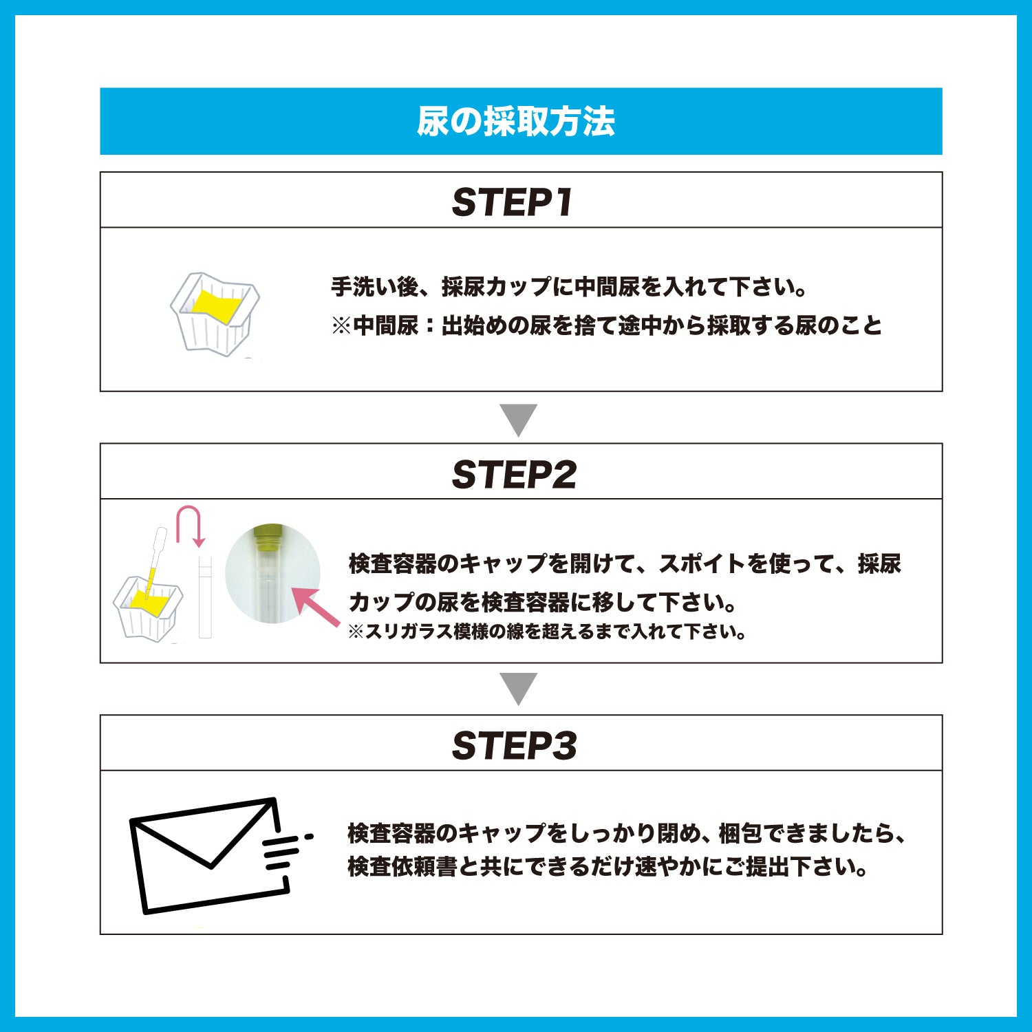 ピロリ菌検査キット 尿検査 抗体検査 胃がん 胃炎 などの原因菌