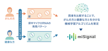 マイシグナル・スキャン misignal scan (尿がん検査 / 7種のがんリスク) マイクロRNAから小さながんのリスクも早期発見 (肺がん 大腸がん 乳がん 卵巣がん) がん検査 がんリスク